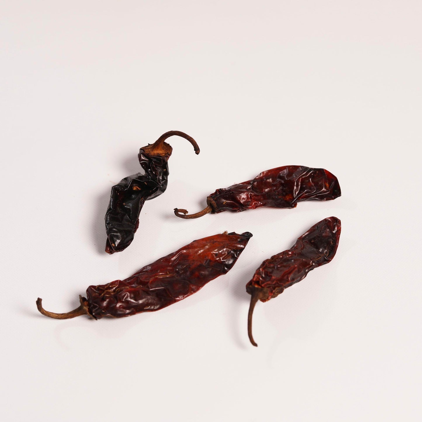 
                  
                    CHILE MORITA
                  
                