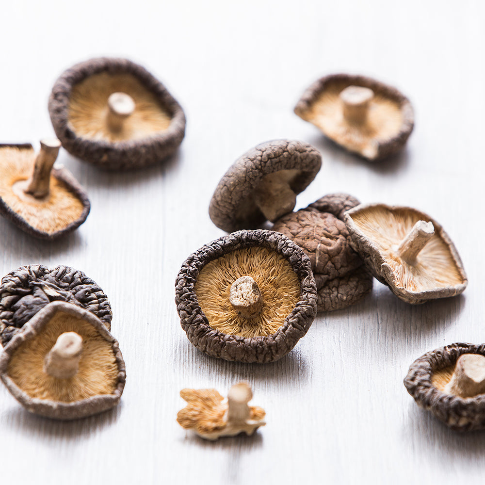 Hongo shiitake
