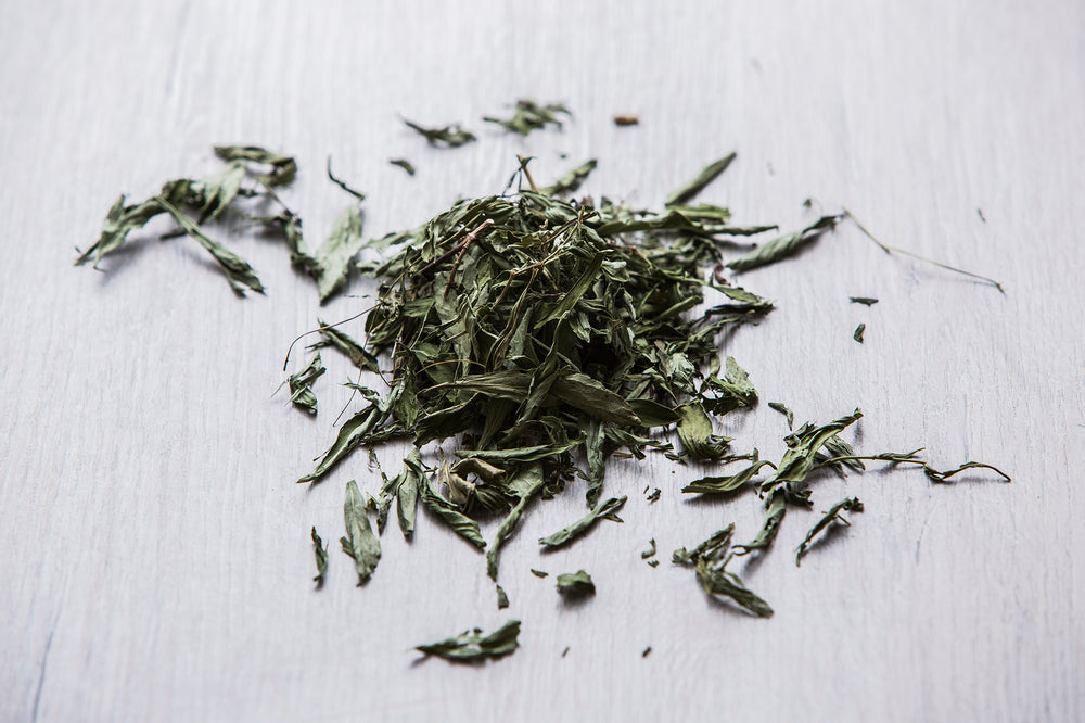 Stevia en hoja